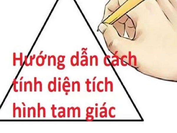 cách tính diện tích hình tam giác