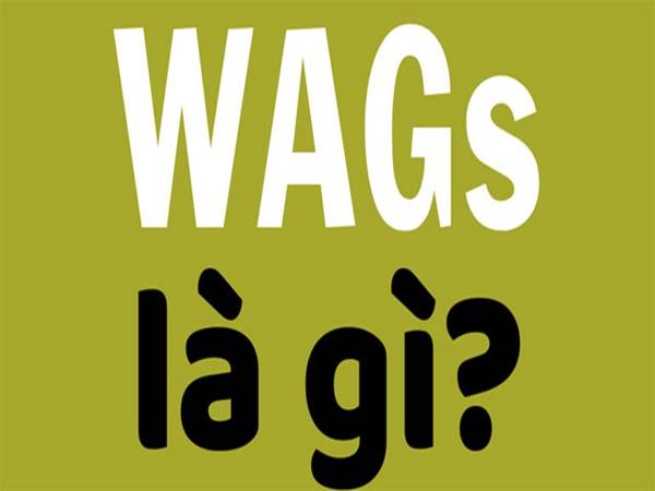 Giải đáp WAG là gì?