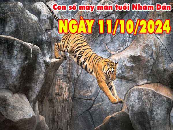 Nhận định con số may mắn tuổi Nhâm Dần ngày 11/10/2024 thứ 6